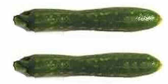 (image for) Zucchini - set of 2