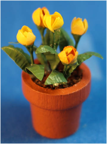 (image for) Pot of tulips