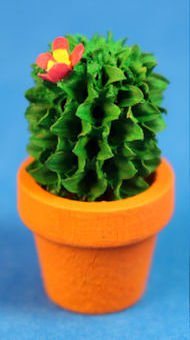 (image for) Cactus in pot