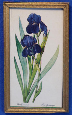 (image for) Print - irises