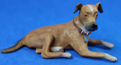(image for) Dog - Rhodesian Ridgeback?