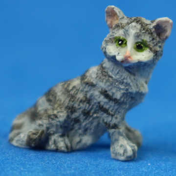 (image for) Kitten - gray/white
