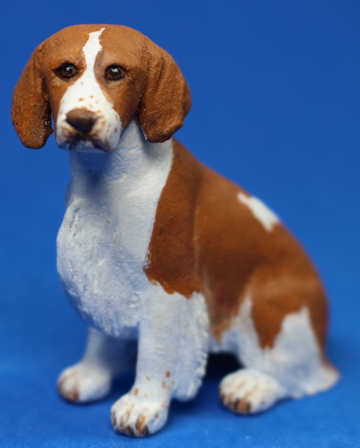 (image for) Welsh Springer Spaniel