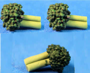 (image for) Broccoli- set of 3