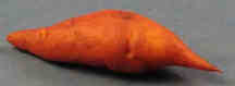 (image for) Yam