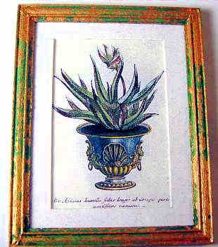 Plant in urn print - Click Image to Close