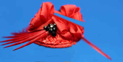 (image for) Lady's fascinator