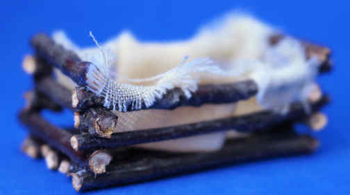 Lined twig crate (image for) Lined twig crate