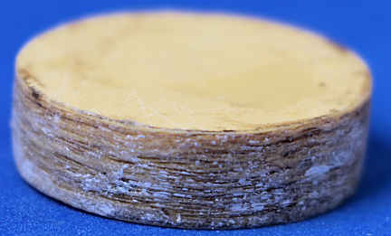 (image for) Cheese wheel