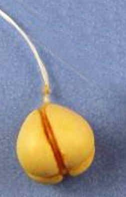 Scamorza cheese light (image for) Scamorza cheese light