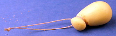 Caciocavallo cheese (image for) Caciocavallo cheese