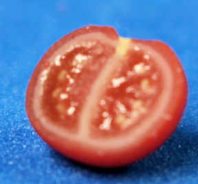 (image for) Tomato - half