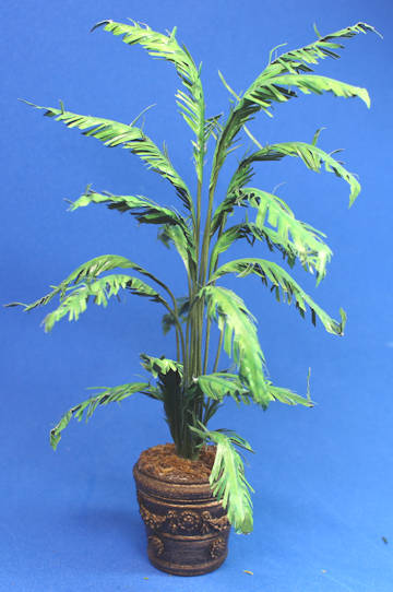 (image for) Potted palm in pot