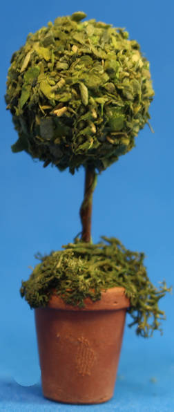 (image for) Small topiary