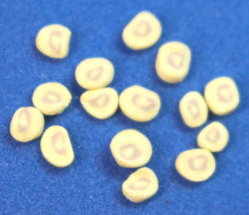 (image for) Banana slices