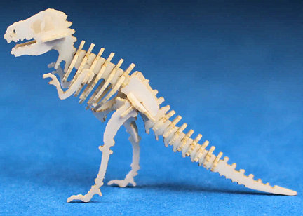 Tyrannosaurus rex dinosaur model